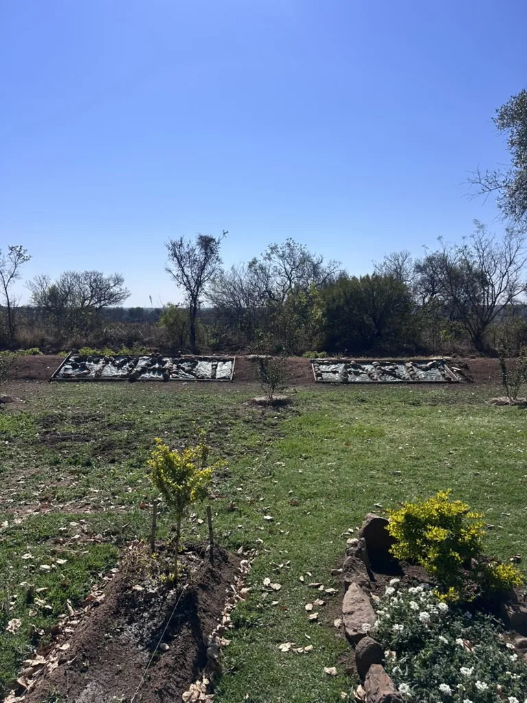 Home garden with lawn, young trees, flower beds and raised planting beds