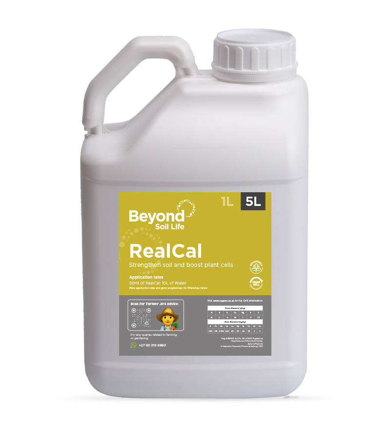 RealCal
