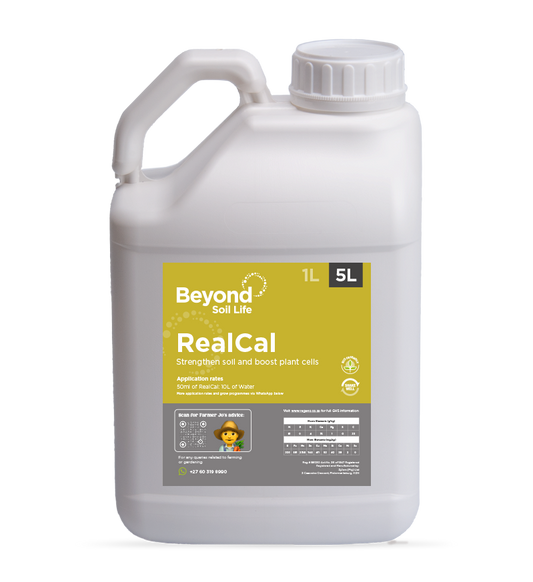 RealCal