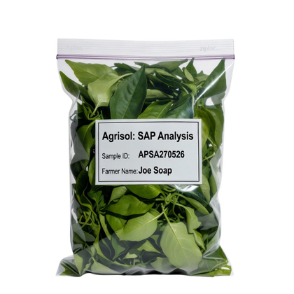 Bag of green leaves with a label on a white background