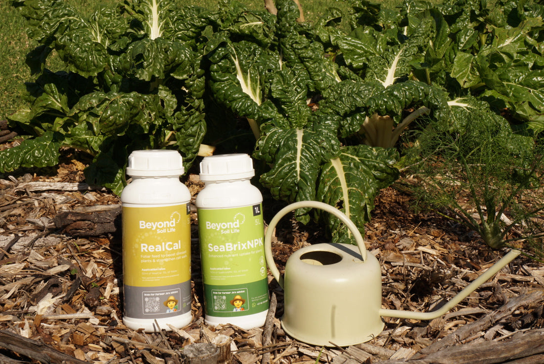 fertiliser products in a veggie garden with a watering can