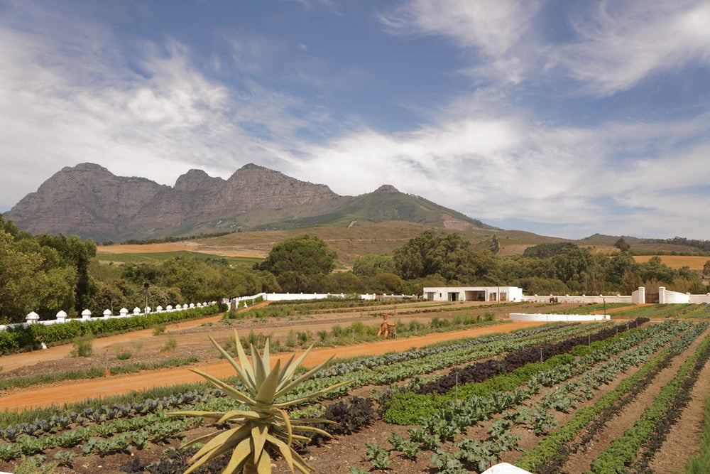 Farm buildings and vegetable beds below the mountains