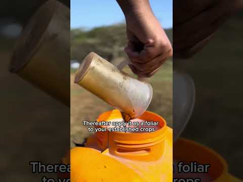 video of how to use seabrix