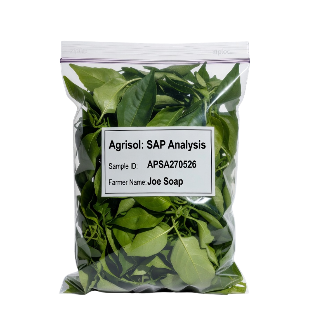 Bag of green leaves with a label on a white background