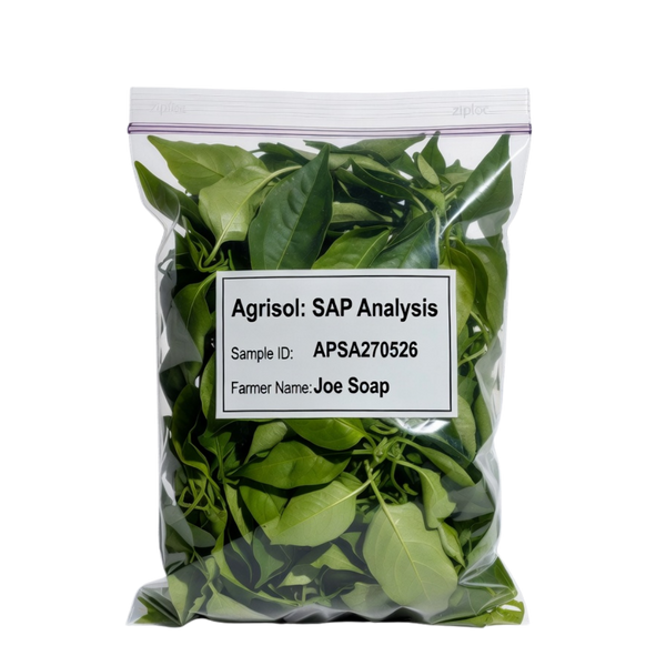 Bag of green leaves with a label on a white background